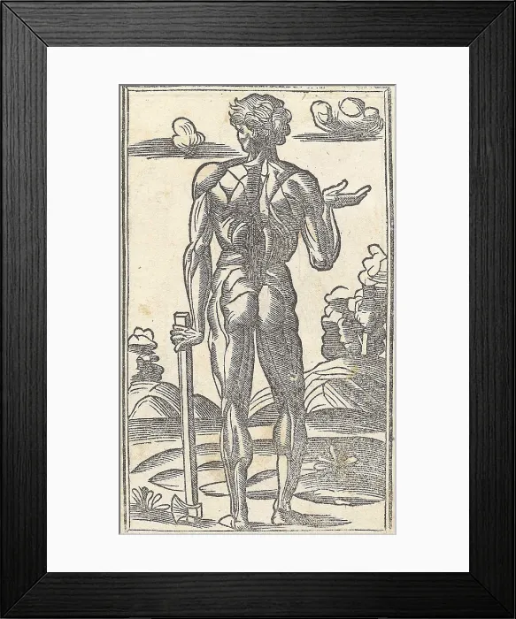Framed Print : Jacopo Berengario da Carpi, Anatomy Framed Print : Jacopo Berengario da Carpi, Anatomy