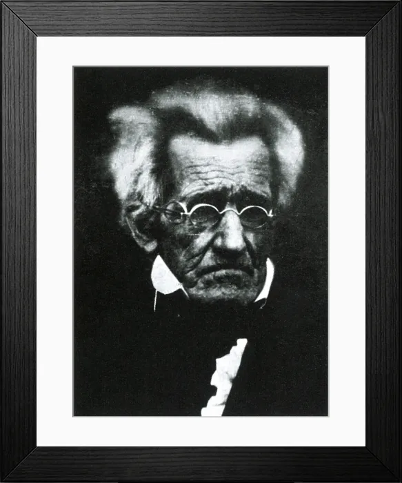 Framed Print : Andrew Jackson, 7th U.S. President Framed Print : Andrew Jackson, 7th U.S. President