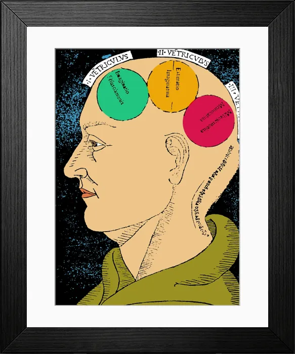 Framed Print : Brain Functions, Albertus Magnus Woodcut Framed Print : Brain Functions, Albertus Magnus Woodcut