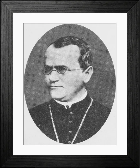 Framed Print : Gregor Mendel, Father of Genetics