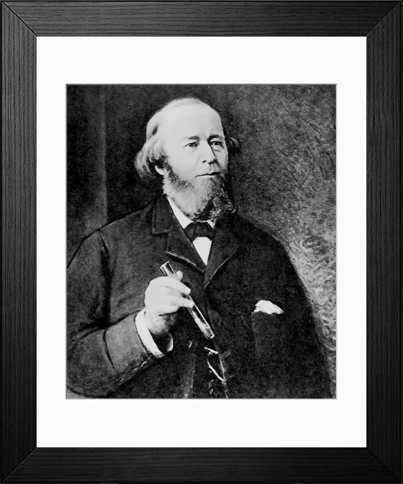 Framed Print : Benjamin Silliman Jr. American Chemist