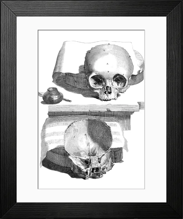 Framed Print : Anatomia humani corporis, Table 89, 1690 Framed Print : Anatomia humani corporis, Table 89, 1690