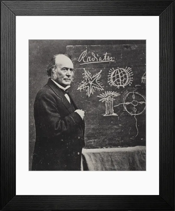 Framed Print : Louis Agassiz, Swiss-American Polymath Framed Print : Louis Agassiz, Swiss-American Polymath