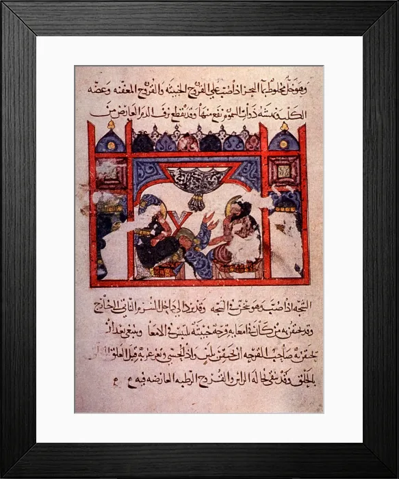Framed Print : Dioscorides, 'De Materia Medica', 13th Century Framed Print : Dioscorides, 'De Materia Medica', 13th Century
