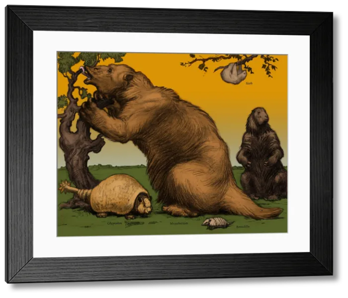Framed Print : Glyptodon and Megatherium, Extinct Fauna Framed Print : Glyptodon and Megatherium, Extinct Fauna