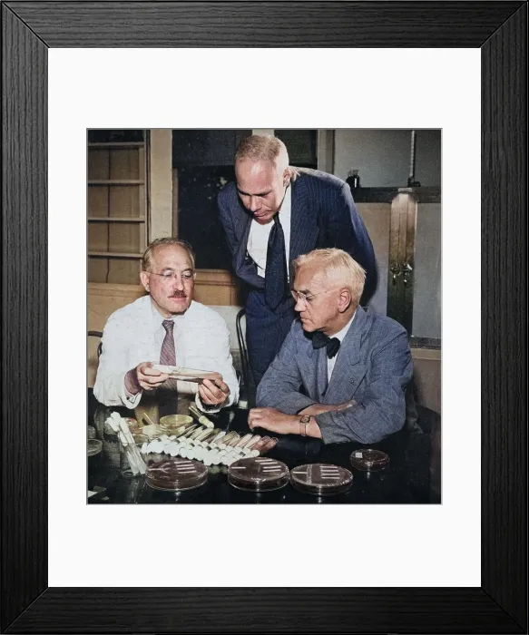 Framed Print : Waksman, Major, Fleming Nobel Prize Winners Framed Print : Waksman, Major, Fleming Nobel Prize Winners