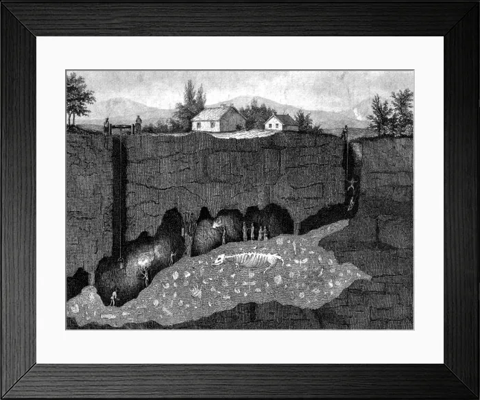 Framed Print : Dinosaur Excavation Site
