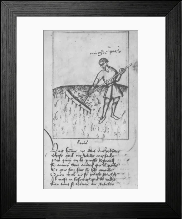 Framed Print : Agriculture, 15th Century