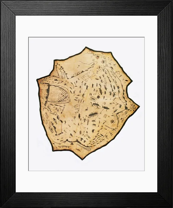 Framed Print : Painted sealskin Framed Print : Painted sealskin