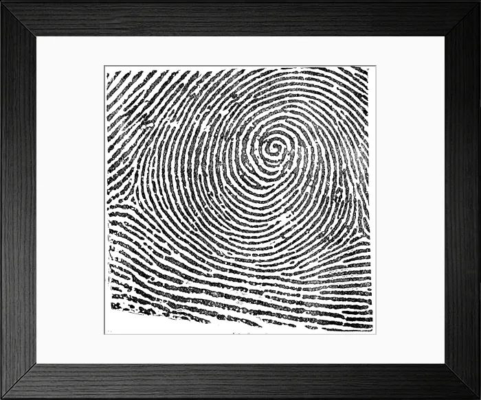 Framed Print : Typical Whorl Pattern, 1900 Framed Print : Typical Whorl Pattern, 1900