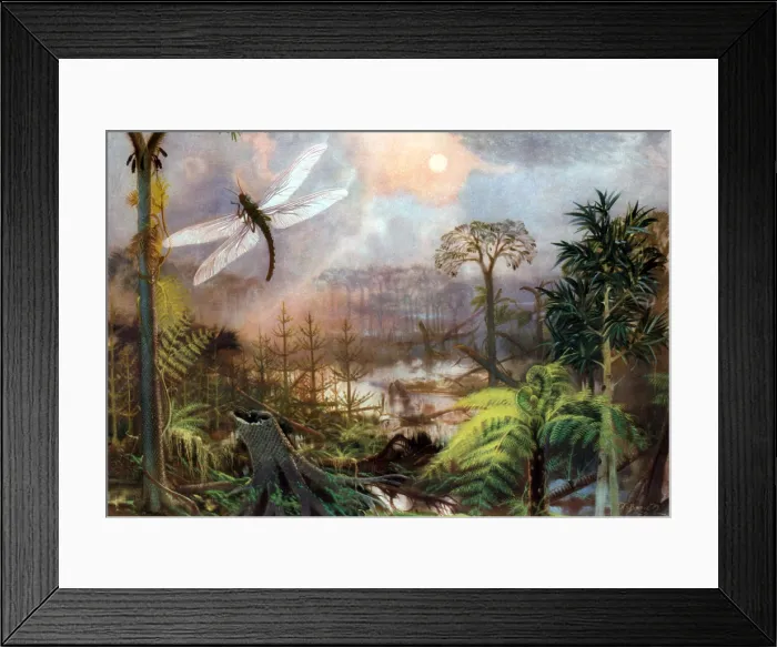 Framed Print : Meganeura in Upper Carboniferous Landscape Framed Print : Meganeura in Upper Carboniferous Landscape
