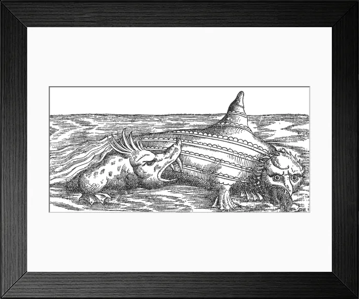 Framed Print : Gessner, Sea Monster Attacks Ziphius, 16th Century Framed Print : Gessner, Sea Monster Attacks Ziphius, 16th Century