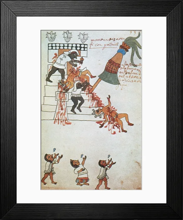 Framed Print : Aztec Human Sacrifice, Codex Tudela, 16th Century Framed Print : Aztec Human Sacrifice, Codex Tudela, 16th Century