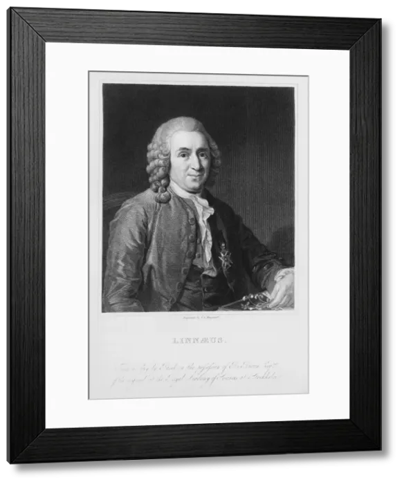 Framed Print : Carl Linnaeus, Swedish Botanist Framed Print : Carl Linnaeus, Swedish Botanist