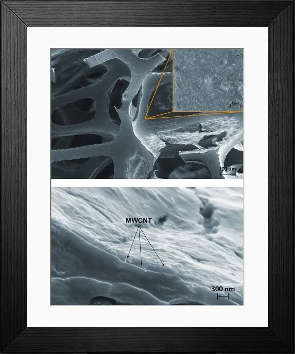 Framed Print : Nanotubes, Flame-Resistant Coating, under a microscope (SEM) Framed Print : Nanotubes, Flame-Resistant Coating, under a microscope (SEM)