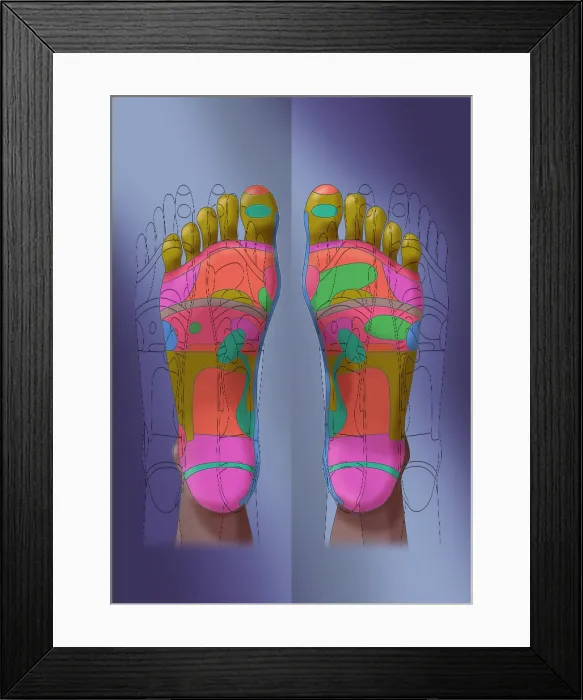 Framed Print : Reflexology, Illustration Framed Print : Reflexology, Illustration