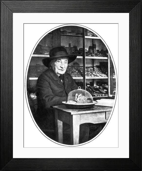 Framed Print : Jean-Henri Fabre, French Entomologist