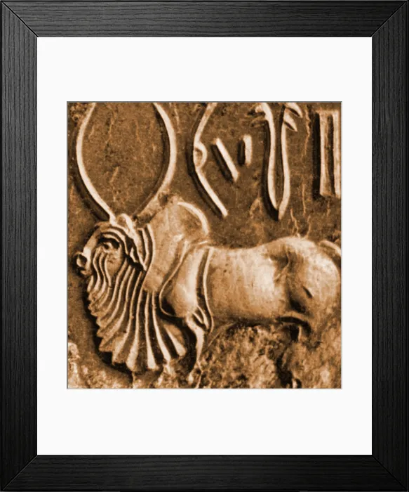 Framed Print : Brahman Bull on Ancient Seal Framed Print : Brahman Bull on Ancient Seal