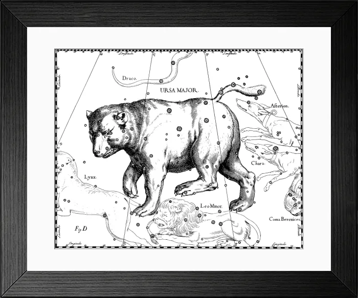 Framed Print : Ursa Major Constellation, Hevelius, 1687 Framed Print : Ursa Major Constellation, Hevelius, 1687