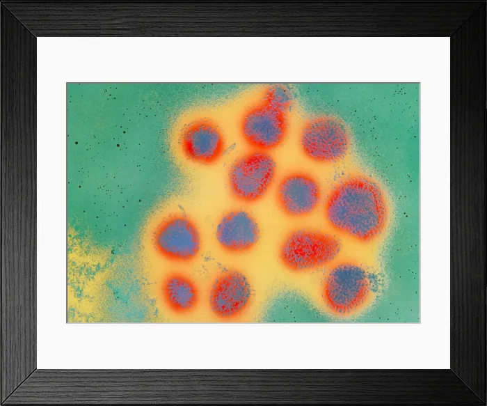 Framed Print : Flu virus. Magnification x225, 000 Framed Print : Flu virus. Magnification x225, 000