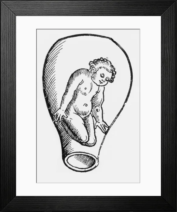 Framed Print : Preformationism, 18th Century Framed Print : Preformationism, 18th Century
