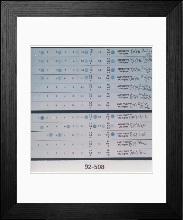 Framed Print : Forensic Evidence, PCR DNA Tests, Bloodworth Case