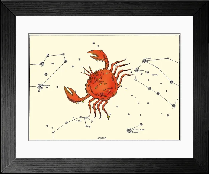 Framed Print : Cancer Constellation, 1603 Framed Print : Cancer Constellation, 1603