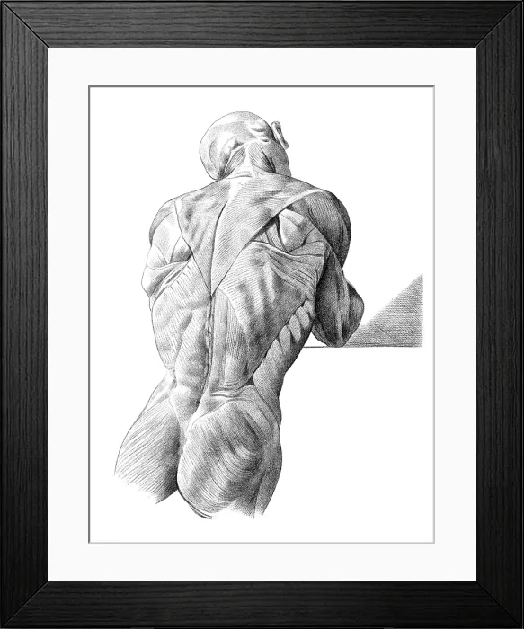 Framed Print : Jacques Gamelin, Nouveau d'osteologie, 1779 Framed Print : Jacques Gamelin, Nouveau d'osteologie, 1779