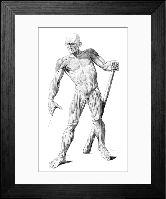 Framed Print : Jacques Gamelin, Nouveau d'osteologie, 1779 Framed Print : Jacques Gamelin, Nouveau d'osteologie, 1779