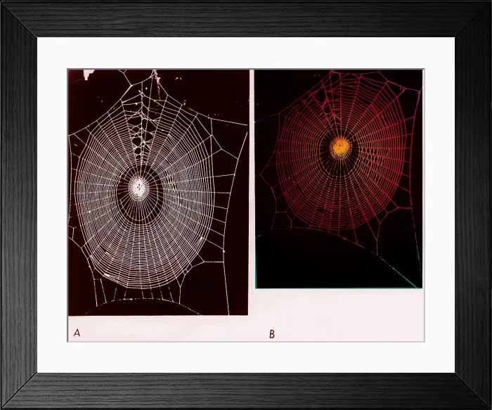 Framed Print : Effect of psilocybin Framed Print : Effect of psilocybin