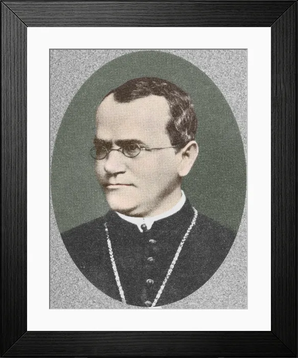 Framed Print : Gregor Mendel, Father of Genetics