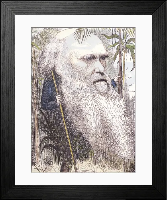 Framed Print : Charles Darwin, English Naturalist Framed Print : Charles Darwin, English Naturalist