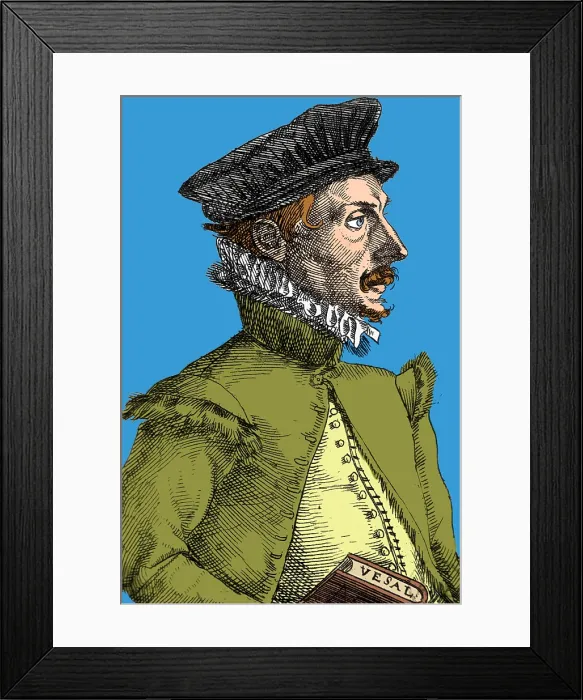 Framed Print : Felix Plater, Swiss Physician Framed Print : Felix Plater, Swiss Physician