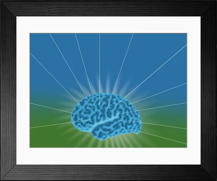 Framed Print : Conceptual Brain, Illustration Framed Print : Conceptual Brain, Illustration