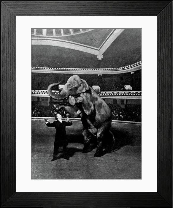 Framed Print : Harry Houdini, Vanishing Elephant, 1918 Framed Print : Harry Houdini, Vanishing Elephant, 1918