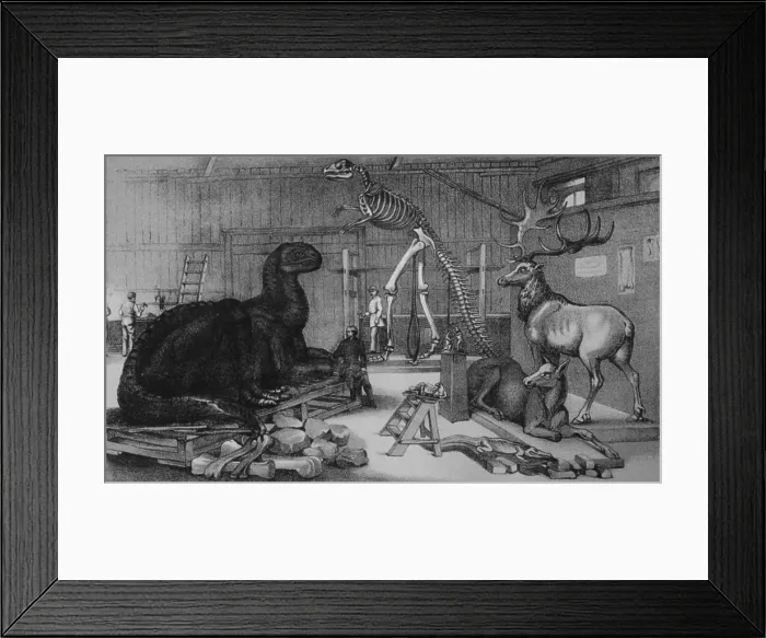 Framed Print : Benjamin Hawkins Central Park Studio