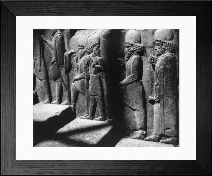 Framed Print : Tribute Bearers, Persepolis, Iran