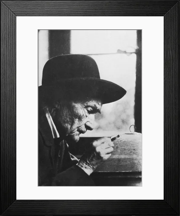 Framed Print : Jean-Henri Fabre, French Entomologist