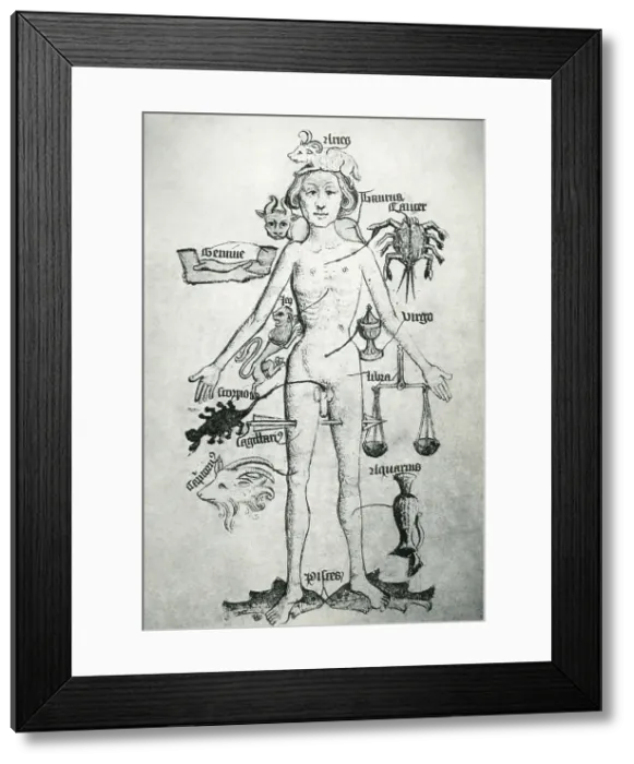 Framed Print : Melothesia, Zodiac Man, 16th Century Framed Print : Melothesia, Zodiac Man, 16th Century