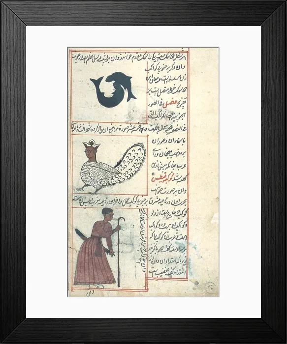 Framed Print : Pisces, Cetus and Orion Constellations Framed Print : Pisces, Cetus and Orion Constellations