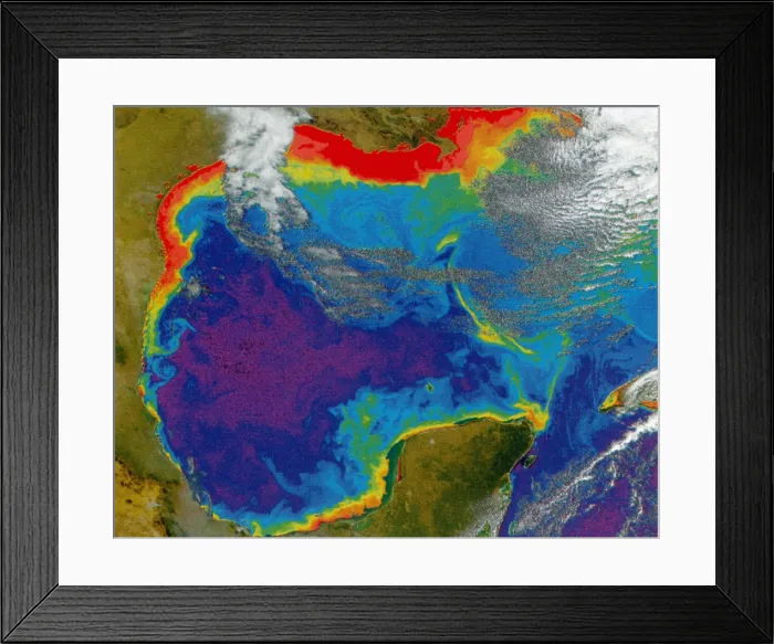 Framed Print : Gulf of Mexico 'Dead Zone' Framed Print : Gulf of Mexico 'Dead Zone'