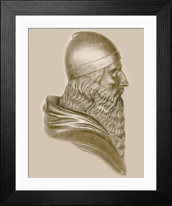 Framed Print : Aristotle, Ancient Greek Philosopher and Polymath Framed Print : Aristotle, Ancient Greek Philosopher and Polymath
