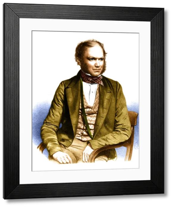 Framed Print : Charles Darwin, English Naturalist Framed Print : Charles Darwin, English Naturalist