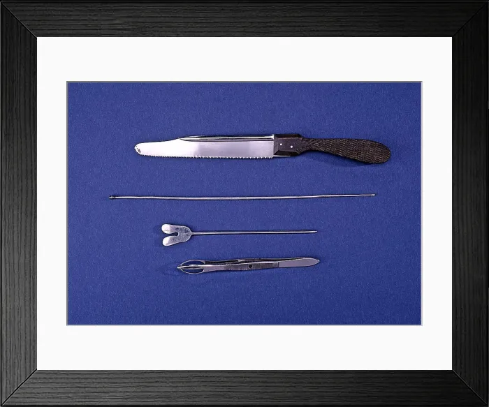 Framed Print : Lincoln Autopsy Instruments, 1856 Framed Print : Lincoln Autopsy Instruments, 1856
