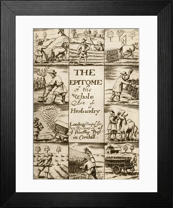 Framed Print : Animal Husbandry, 1675 Framed Print : Animal Husbandry, 1675