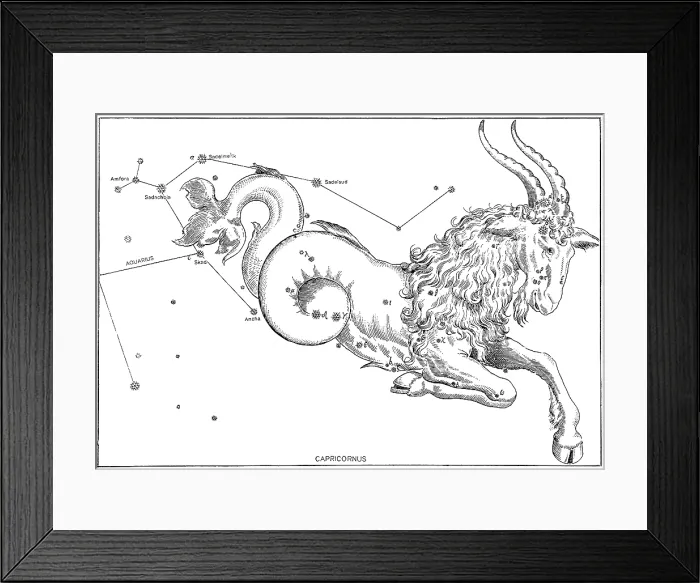 Framed Print : Capricornus Constellation, Zodiac Sign, Bayer Framed Print : Capricornus Constellation, Zodiac Sign, Bayer