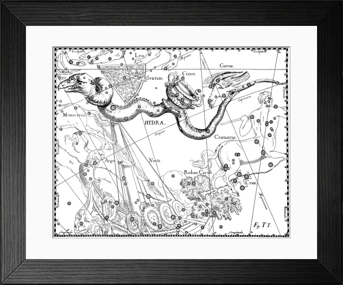 Framed Print : Hydra Constellation, Hevelius, 1687 Framed Print : Hydra Constellation, Hevelius, 1687