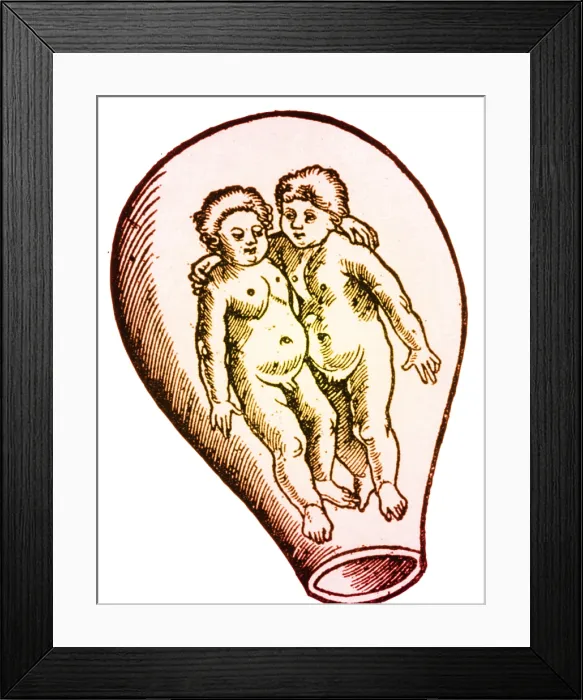 Framed Print : Preformationism, 18th Century