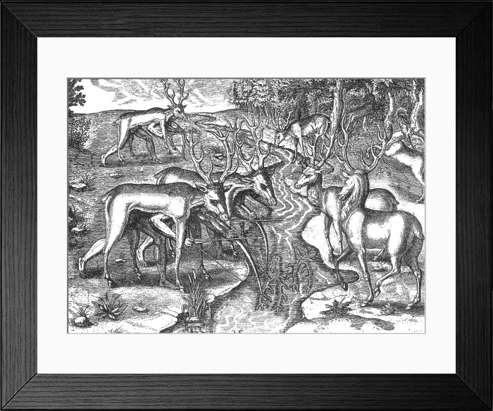 Framed Print : Native American Indians Camouflaged for Deer Hunt, 16th Century Framed Print : Native American Indians Camouflaged for Deer Hunt, 16th Century