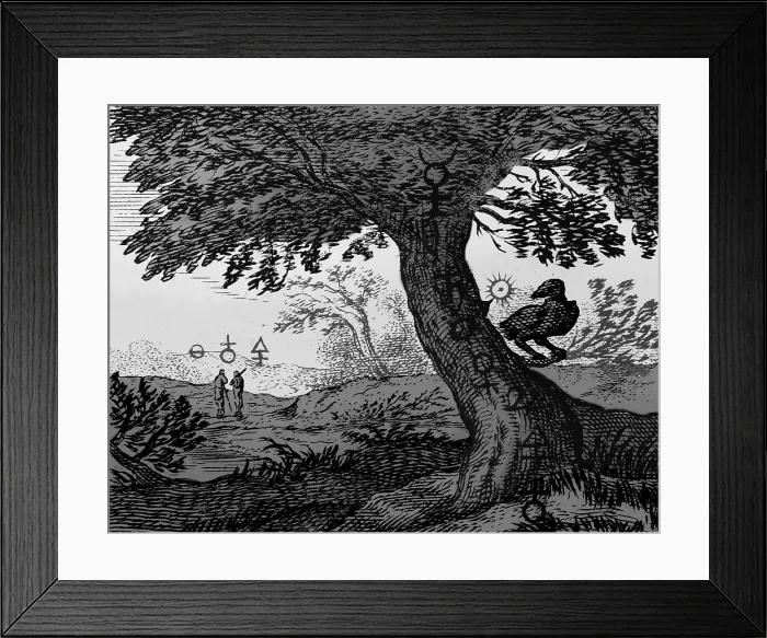 Framed Print : Alchemy Illustration Framed Print : Alchemy Illustration